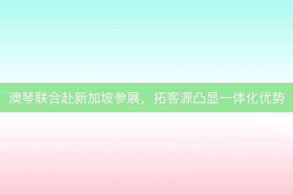 澳琴联合赴新加坡参展，拓客源凸显一体化优势