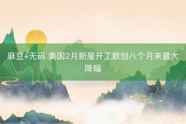 麻豆+无码 美国2月新屋开工数创八个月来最大降幅