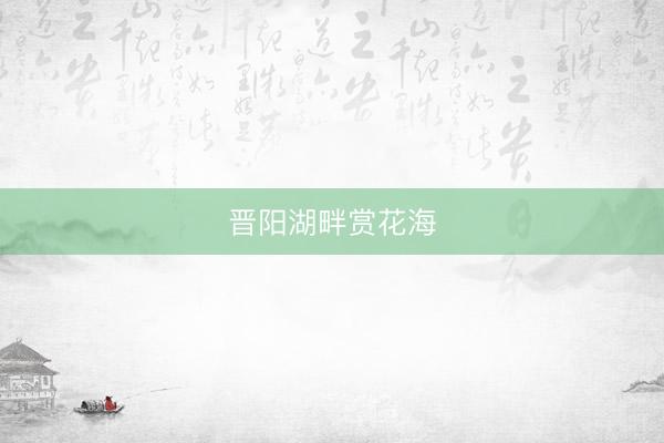 晋阳湖畔赏花海