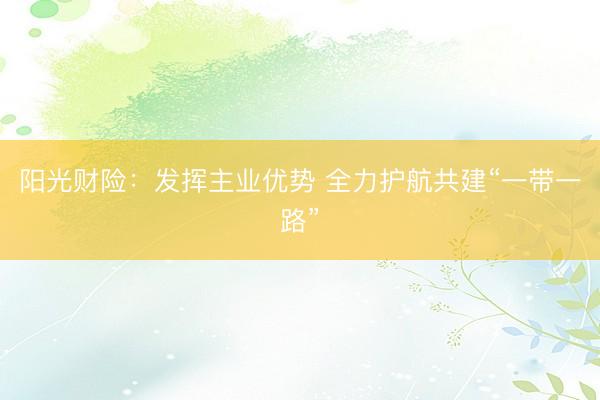 阳光财险：发挥主业优势 全力护航共建“一带一路”