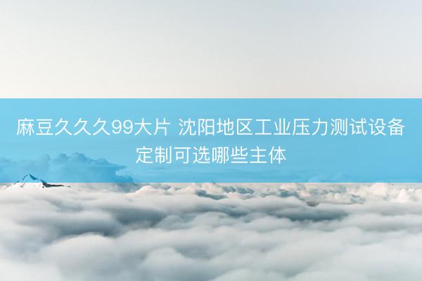 麻豆久久久99大片 沈阳地区工业压力测试设备定制可选哪些主体
