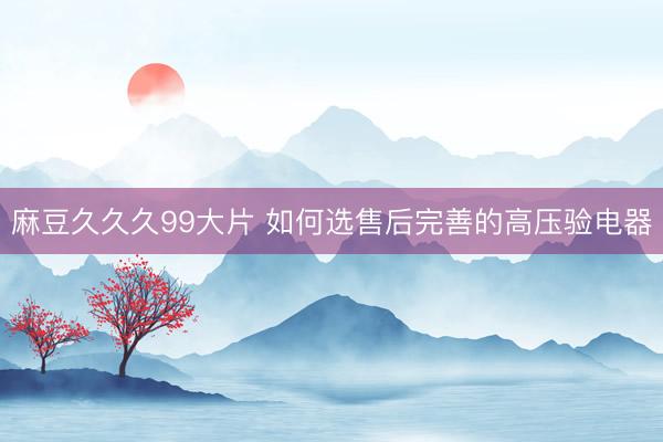 麻豆久久久99大片 如何选售后完善的高压验电器