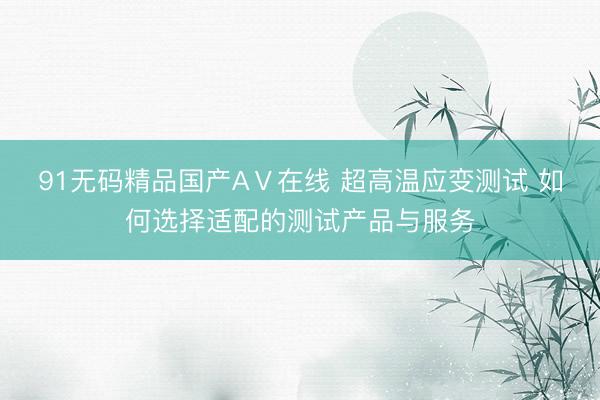 91无码精品国产AⅤ在线 超高温应变测试 如何选择适配的测试产品与服务