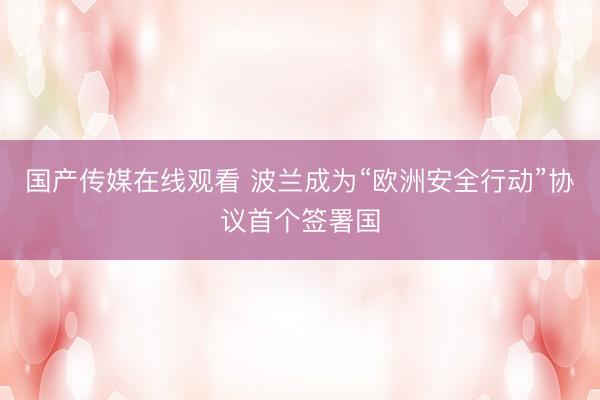 国产传媒在线观看 波兰成为“欧洲安全行动”协议首个签署国