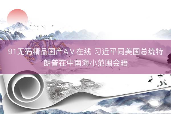 91无码精品国产AⅤ在线 习近平同美国总统特朗普在中南海小范围会晤