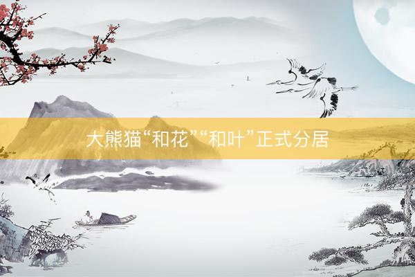 大熊猫“和花”“和叶”正式分居