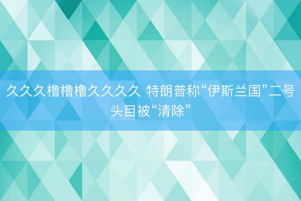 久久久橹橹橹久久久久 特朗普称“伊斯兰国”二号头目被“清除”