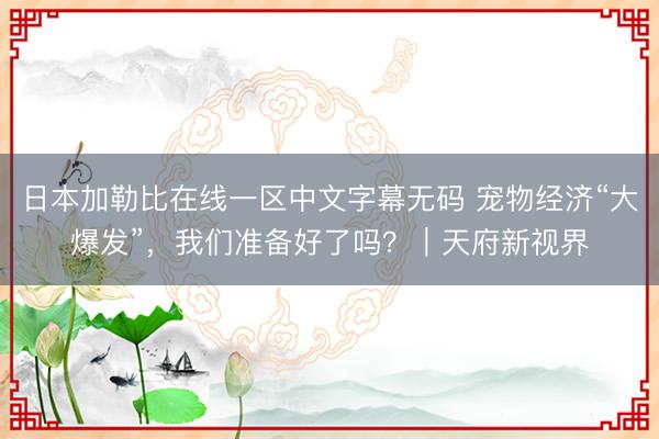 日本加勒比在线一区中文字幕无码 宠物经济“大爆发”，我们准备好了吗？｜天府新视界