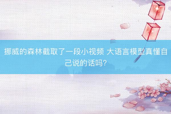 挪威的森林截取了一段小视频 大语言模型真懂自己说的话吗？