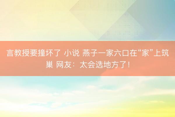言教授要撞坏了 小说 燕子一家六口在“家”上筑巢 网友：太会选地方了！
