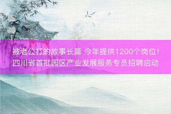 被老公打的故事长篇 今年提供1200个岗位！四川省首批园区产业发展服务专员招聘启动