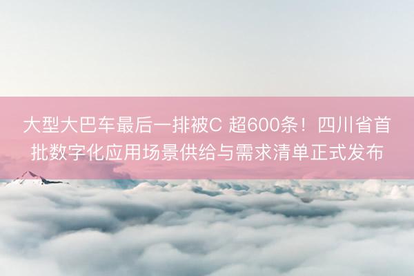 大型大巴车最后一排被C 超600条!四川省首批数字化应用场景供给与需求清单正式发布