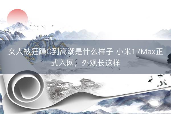 女人被狂躁C到高潮是什么样子 小米17Max正式入网，外观长这样