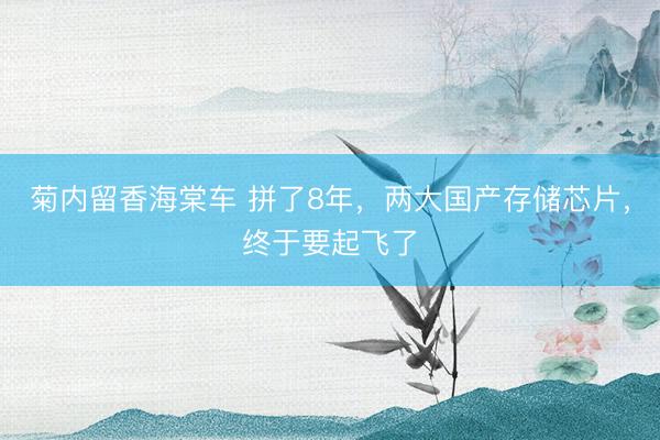 菊内留香海棠车 拼了8年，两大国产存储芯片，终于要起飞了
