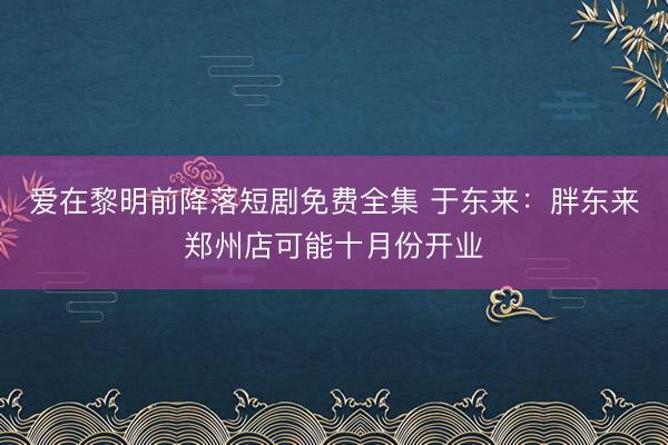 爱在黎明前降落短剧免费全集 于东来：胖东来郑州店可能十月份开业