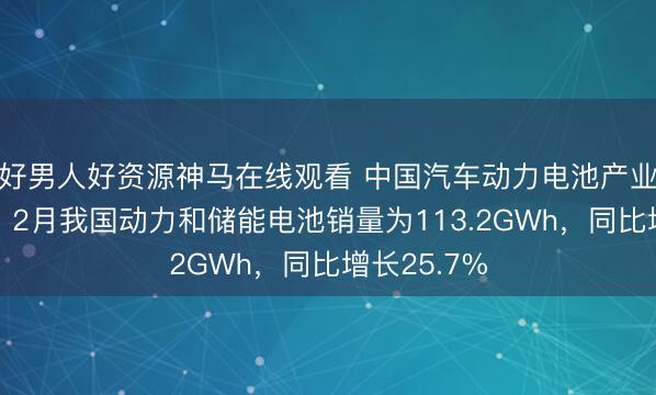 好男人好资源神马在线观看 中国汽车动力电池产业创新联盟：2月我国动力和储能电池销量为113.2GWh，同比增长25.7%