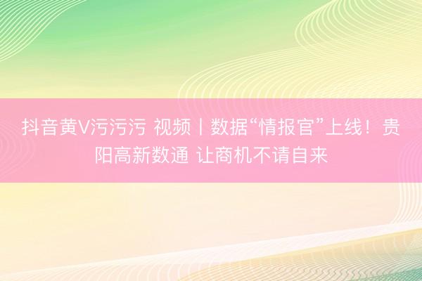抖音黄V污污污 视频丨数据“情报官”上线！贵阳高新数通 让商机不请自来