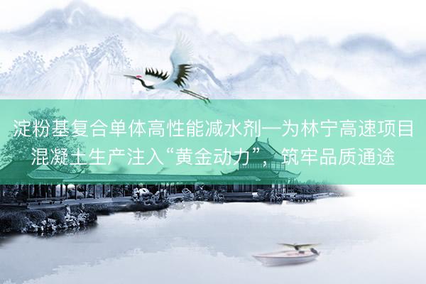 淀粉基复合单体高性能减水剂—为林宁高速项目混凝土生产注入“黄金动力”，筑牢品质通途