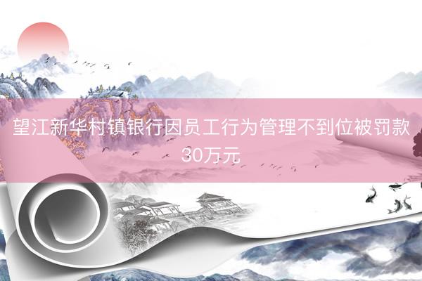 望江新华村镇银行因员工行为管理不到位被罚款30万元