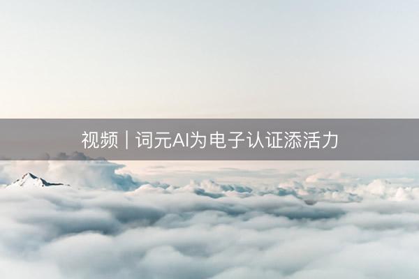 视频 | 词元AI为电子认证添活力