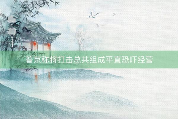 普京称将打击总共组成平直恐吓经营