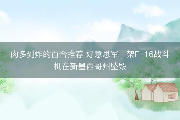 肉多到炸的百合推荐 好意思军一架F-16战斗机在新墨西哥州坠毁