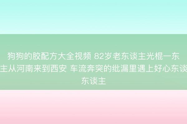 狗狗的胶配方大全视频 82岁老东谈主光棍一东谈主从河南来到西安 车流奔突的纰漏里遇上好心东谈主