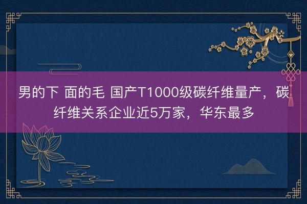 男的下 面的毛 国产T1000级碳纤维量产，碳纤维关系企业近5万家，华东最多