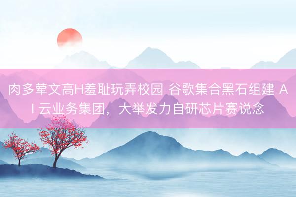 肉多荤文高H羞耻玩弄校园 谷歌集合黑石组建 AI 云业务集团，大举发力自研芯片赛说念