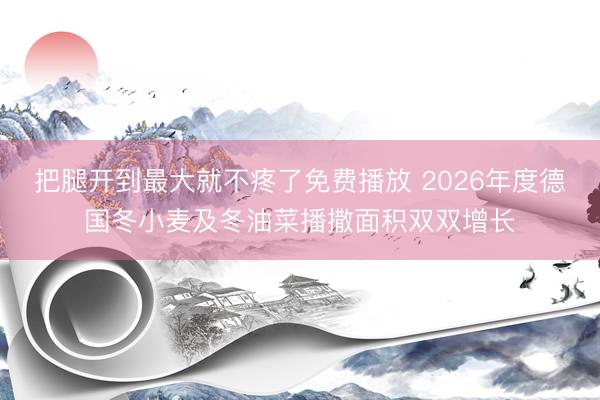 把腿开到最大就不疼了免费播放 2026年度德国冬小麦及冬油菜播撒面积双双增长