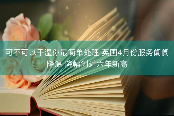 可不可以干湿你最简单处理 英国4月份服务阛阓降温 降幅创近六年新高