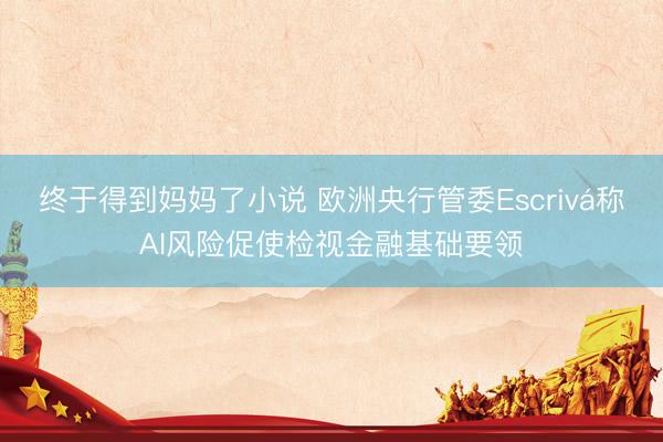 终于得到妈妈了小说 欧洲央行管委Escrivá称AI风险促使检视金融基础要领