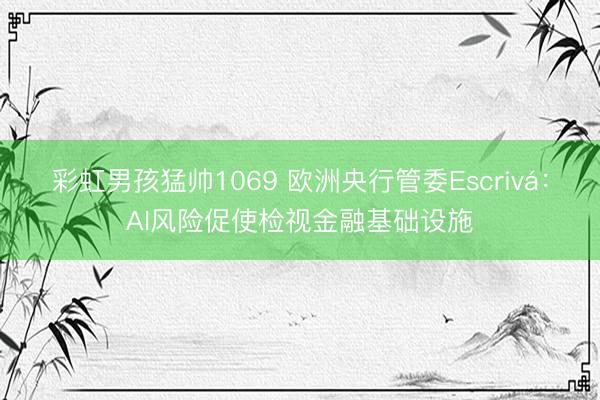 彩虹男孩猛帅1069 欧洲央行管委Escrivá：AI风险促使检视金融基础设施