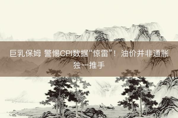 巨乳保姆 警惕CPI数据“惊雷”！油价并非通胀独一推手
