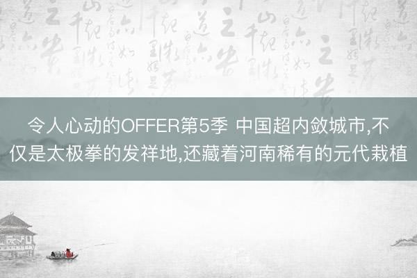 令人心动的OFFER第5季 中国超内敛城市，不仅是太极拳的发祥地，还藏着河南稀有的元代栽植