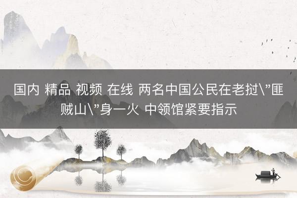 国内 精品 视频 在线 两名中国公民在老挝