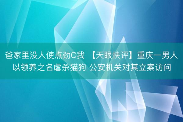 爸家里没人使点劲C我 【天眼快评】重庆一男人以领养之名虐杀猫狗 公安机关对其立案访问