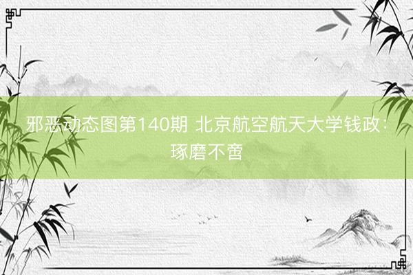 邪恶动态图第140期 北京航空航天大学钱政：琢磨不啻