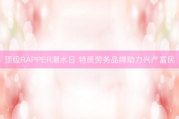 顶级RAPPER潮水日 特质劳务品牌助力兴产富民