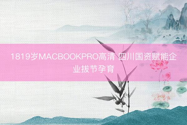 1819岁MACBOOKPRO高清 四川国资赋能企业拔节孕育