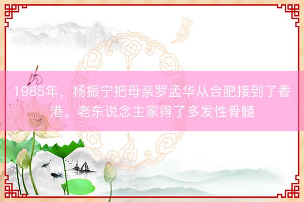 1985年，杨振宁把母亲罗孟华从合肥接到了香港。老东说念主家得了多发性骨髓
