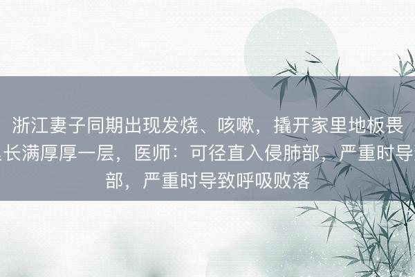 浙江妻子同期出现发烧、咳嗽，撬开家里地板畏惧：夹层里长满厚厚一层，医师：可径直入侵肺部，严重时导致呼吸败落