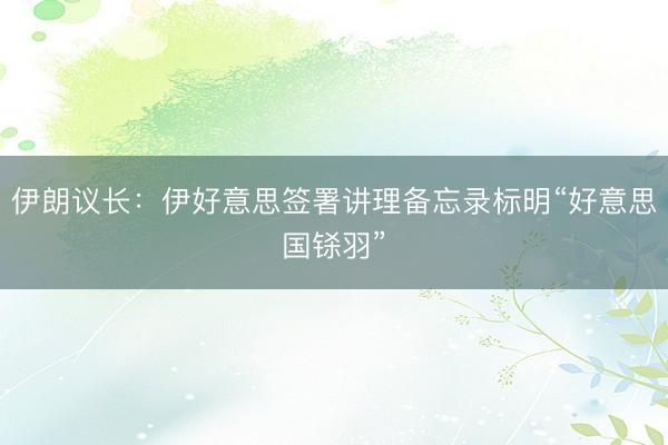 伊朗议长：伊好意思签署讲理备忘录标明“好意思国铩羽”