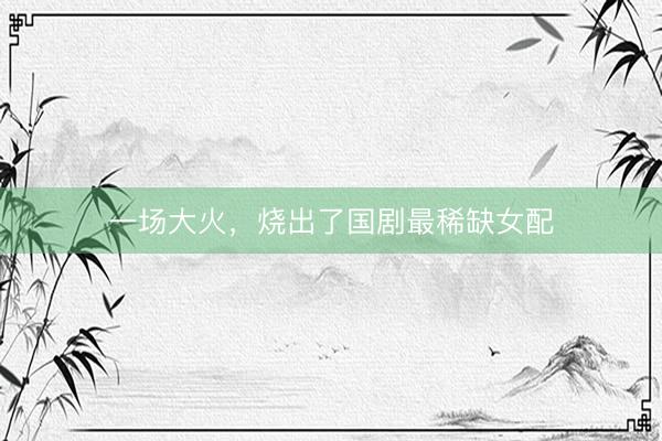 一场大火，烧出了国剧最稀缺女配